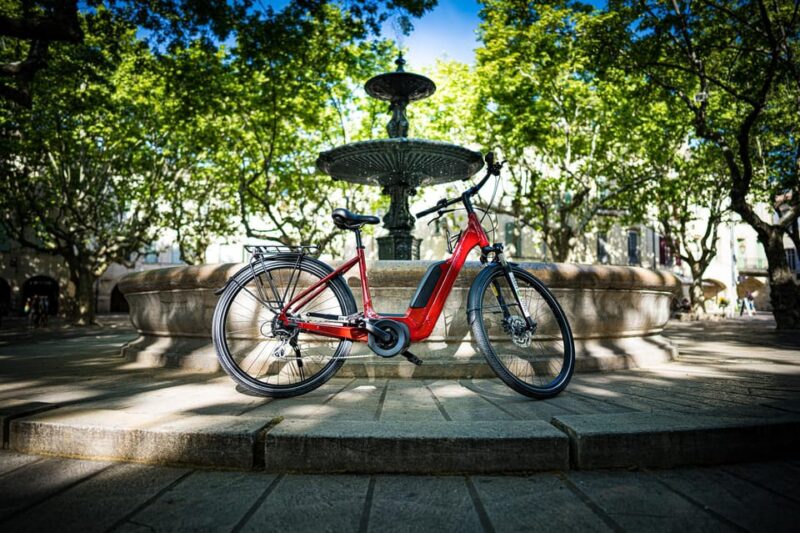 Picnic Next to Lavender Fields by E-Bike - Exploring the Picturesque Landscapes of Provence