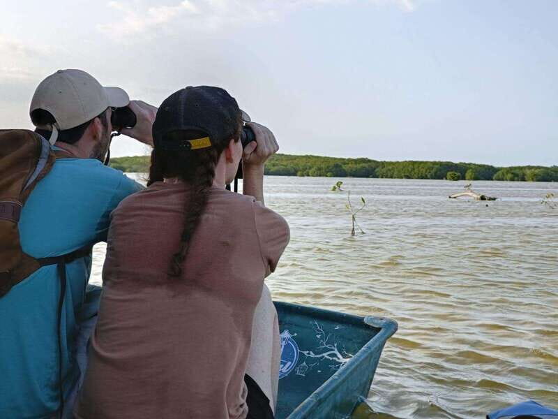 PICNIC ON A SANDBANK + KAYAK ADVENTURE FROM SISAL PUERTO - Key Points