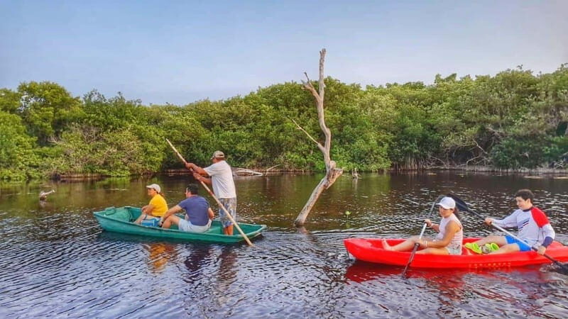 PICNIC ON A SANDBANK + KAYAK ADVENTURE FROM SISAL PUERTO - Who is This Tour Best For?