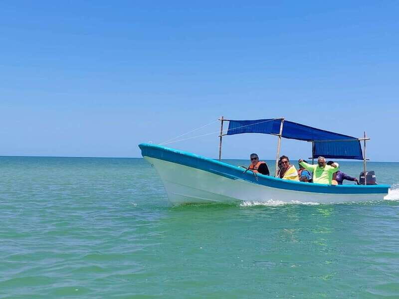 PICNIC ON A SANDBANK + KAYAK ADVENTURE FROM SISAL PUERTO - Final Thoughts