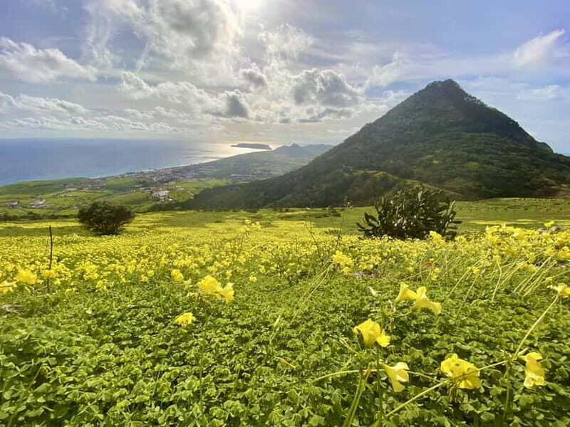 Pico Castelo & Pico Facho Vereda: Walk with Spectacular View - Exploring the Route: From the Cannon Miradouro to the Summits