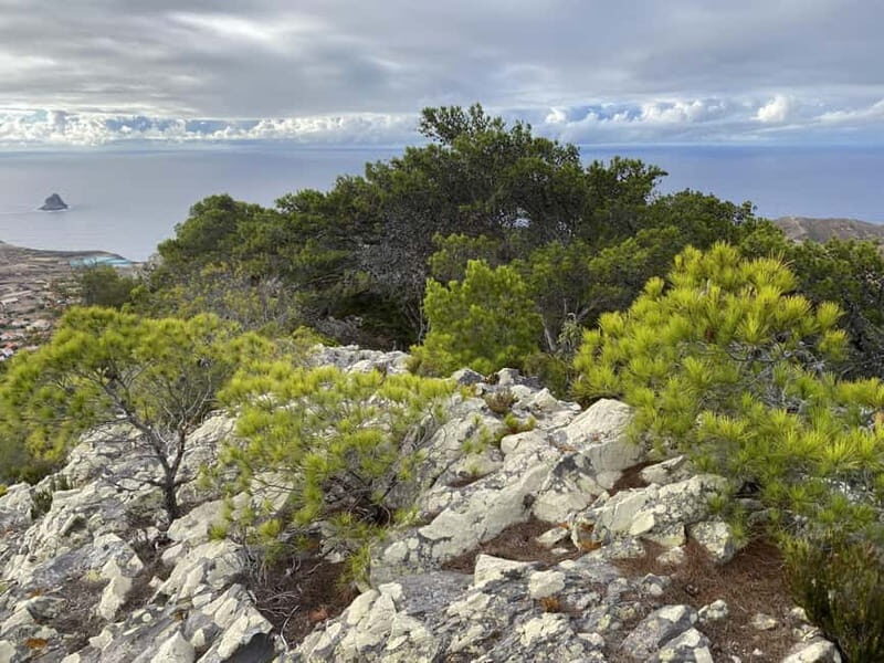 Pico Castelo & Pico Facho Vereda: Walk with Spectacular View - Who Should Consider This Tour?