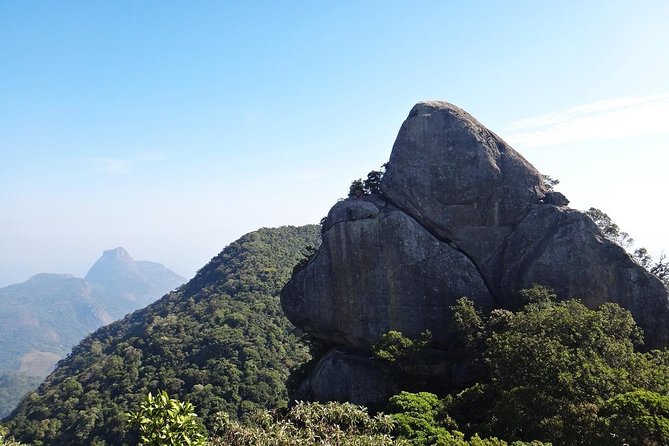 Pico Da Tijuca Trail - Pricing and Inclusions