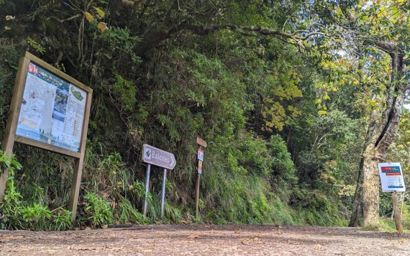 Pico do Arieiro in 4h: Immersive Private Experience (Cabrio) - Exploring Madeira’s Microclimates and Ecosystems