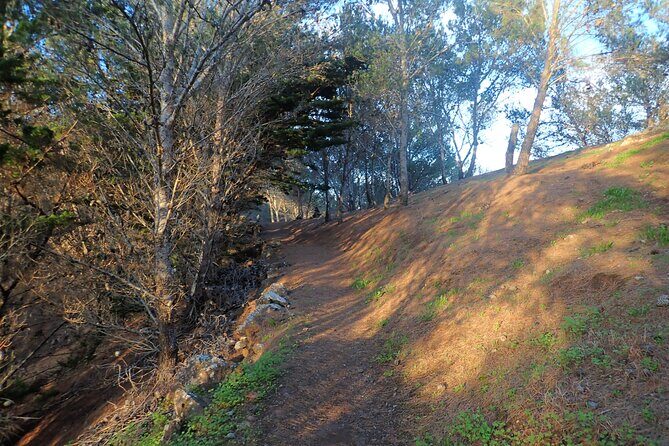 Pico do Facho Panoramic Trail - Key Points