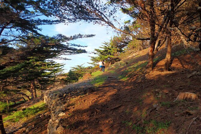 Pico do Facho Panoramic Trail - In-Depth Look at the Experience
