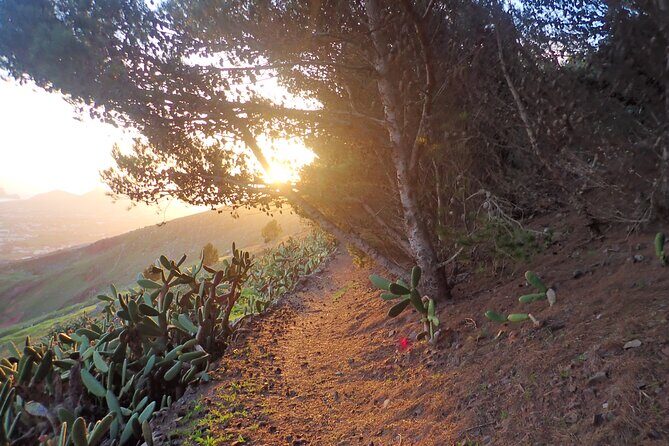 Pico do Facho Panoramic Trail - Frequently Asked Questions