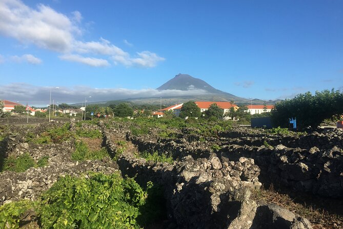 Pico Girl Power Wine Tasting and Cultural Experience - Customizable Experiences