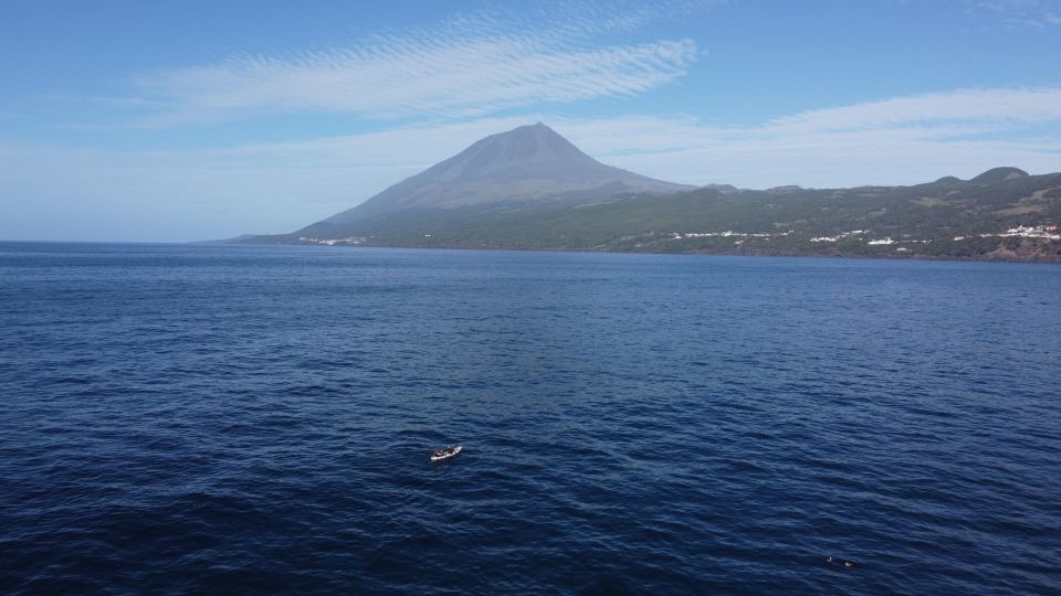 Pico Island, Azores: Guided Kayak and Snorkel Tour - Kayaking Experience
