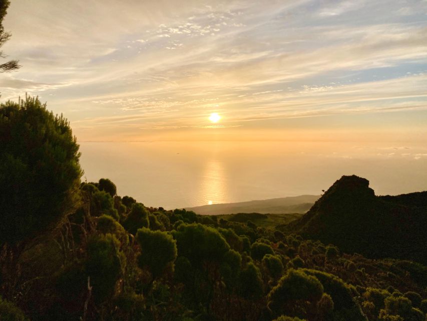 Pico Island: Climb Mount Pico, Highest Mountain in Portugal - Hiking Through Pico Natural Reserve