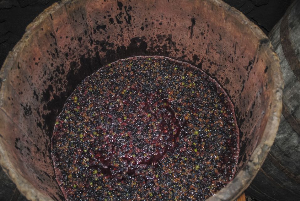 Pico Island: Full Day Wine Culture Tour - Visiting the UNESCO Heritage Site