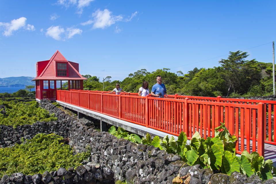 Pico Island: Full Day Wine Culture Tour - Discovering the Wine Laboratory