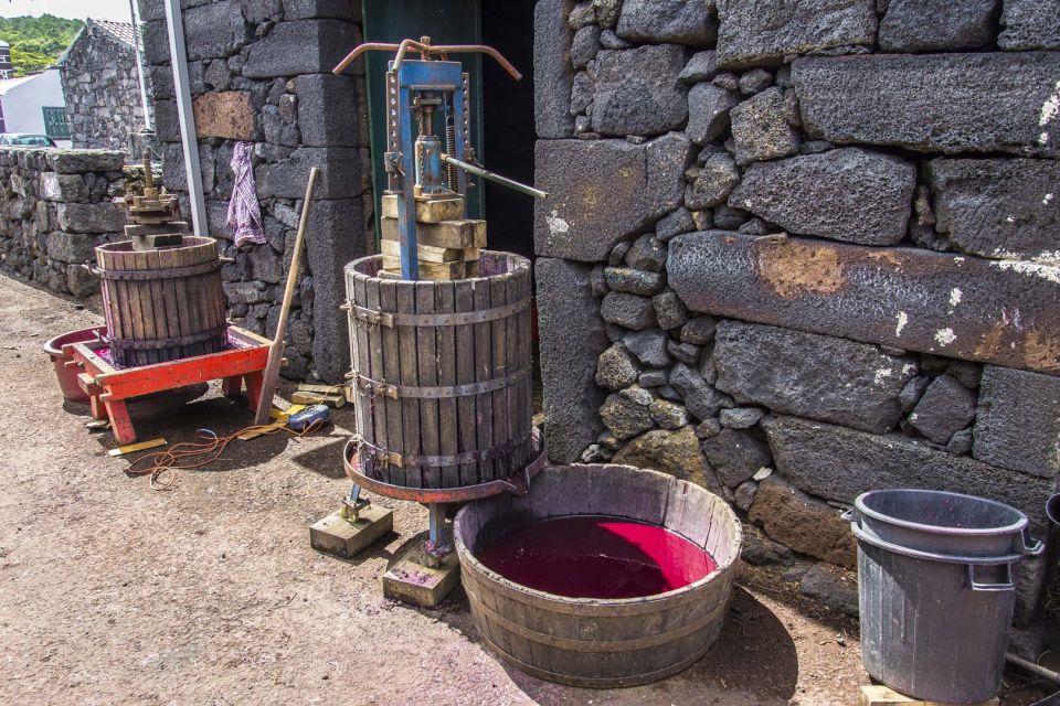 Pico Island: Full Day Wine Culture Tour - Tour Preparation and Booking