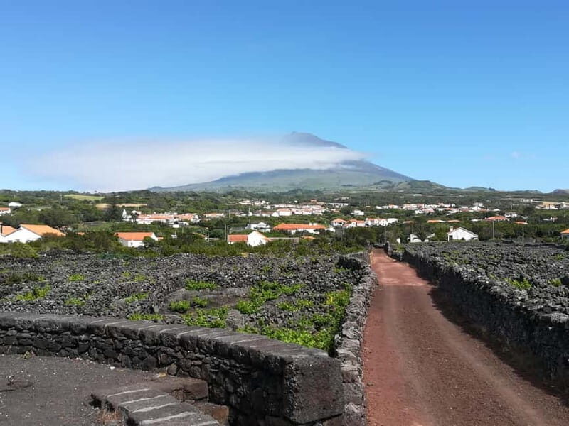 Pico Island: Tours on Pico Island - Key Points