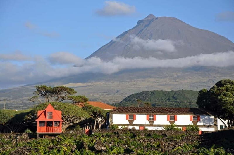 Pico Island: Tours on Pico Island - The Sum Up