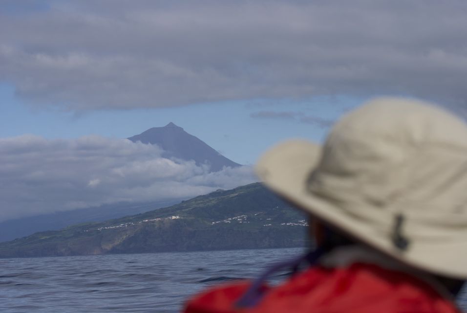 Pico Island: Whale Watching Boat Tour With Biologist Guides - Frequently Asked Questions