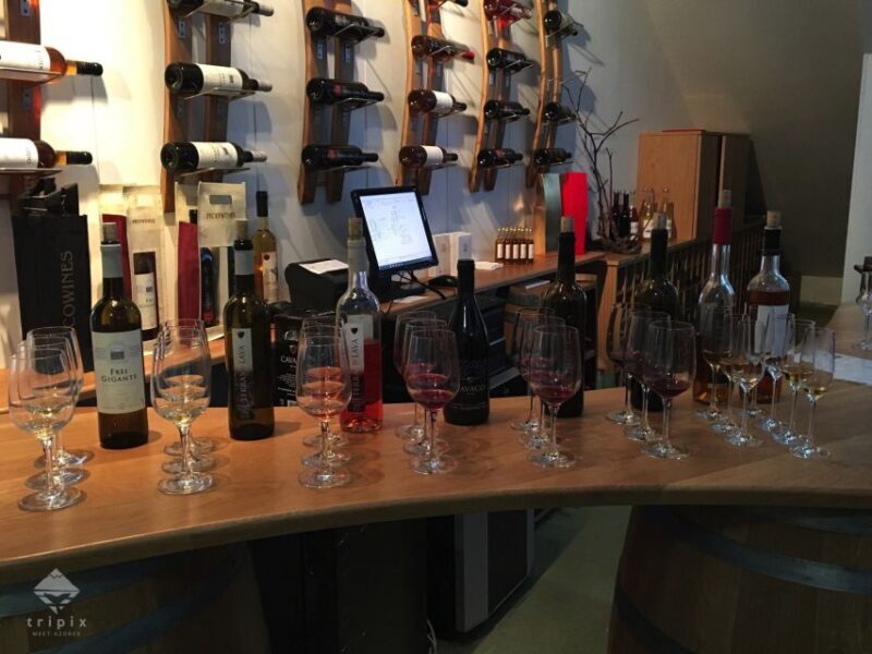 Pico Wine Tour: Get to know Pico's wines - The Experience of a Lifetime?  