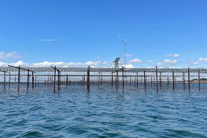 Picpoul de Pinet Tour - Half Day Oysters and Wines - FAQ