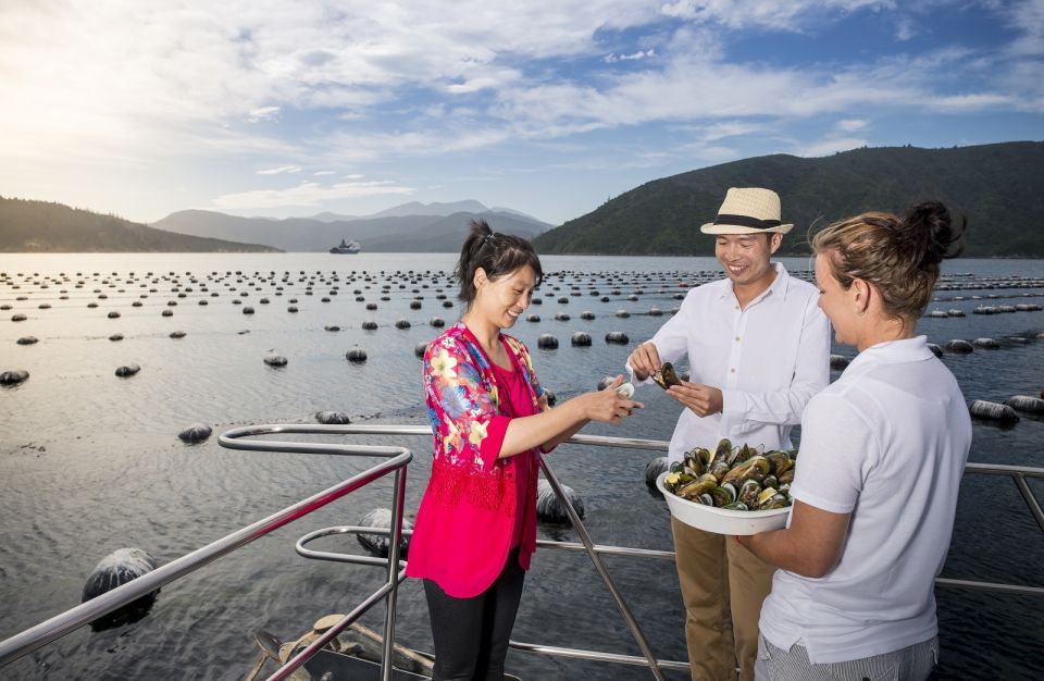 Picton and Marlborough Sounds: Seafood Odyssea Cruise - Seafood and Wine Tasting
