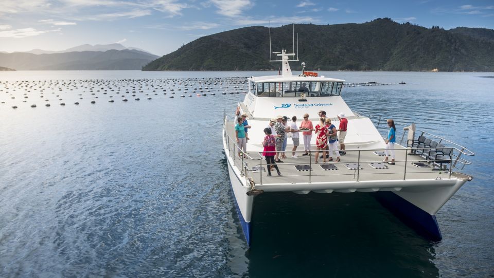 Picton and Marlborough Sounds: Seafood Odyssea Cruise - Onboard Facilities
