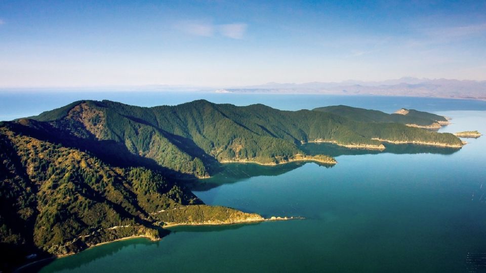 Picton and Marlborough Sounds: Seafood Odyssea Cruise - Important Details