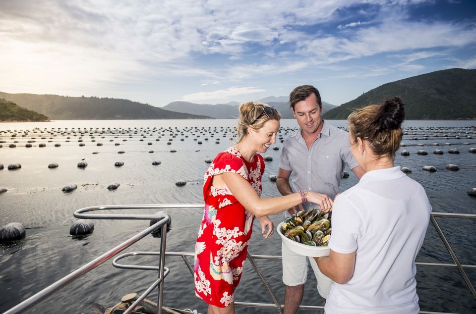 Picton and Marlborough Sounds: Seafood Odyssea Cruise - BBQ Lunch Option