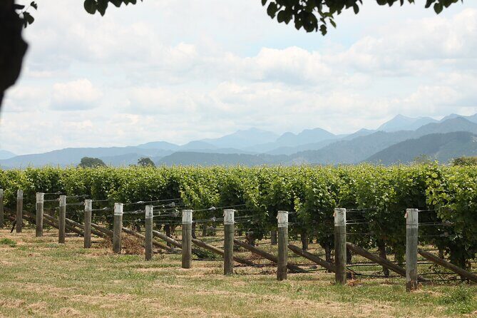 Picton & Blenheim Scenic Tour - The Route and Highlights: What Youll Experience