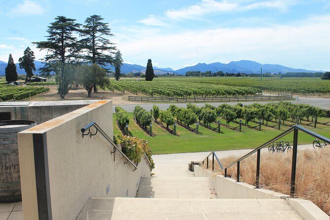 Picton & Blenheim Scenic Tour - Authenticity and Reviewer Insights