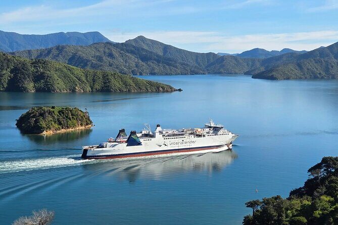 Picton & Blenheim Scenic Tour - Practical Tips for Travelers