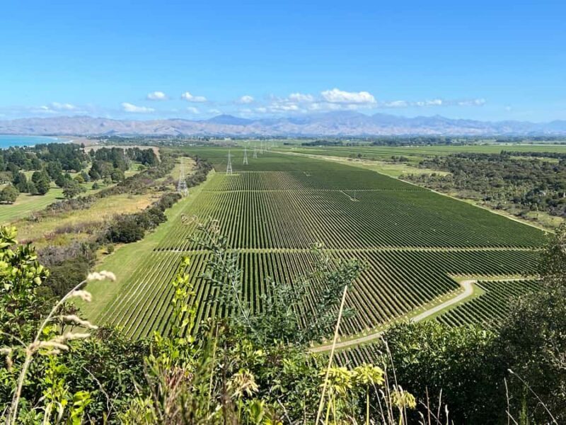 Picton: Private onshore cruise tour scenic, wine, gourmet - Final Thoughts