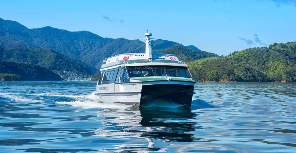 Picton: Queen Charlotte Sounds Sightseeing Cruise - Experience Description