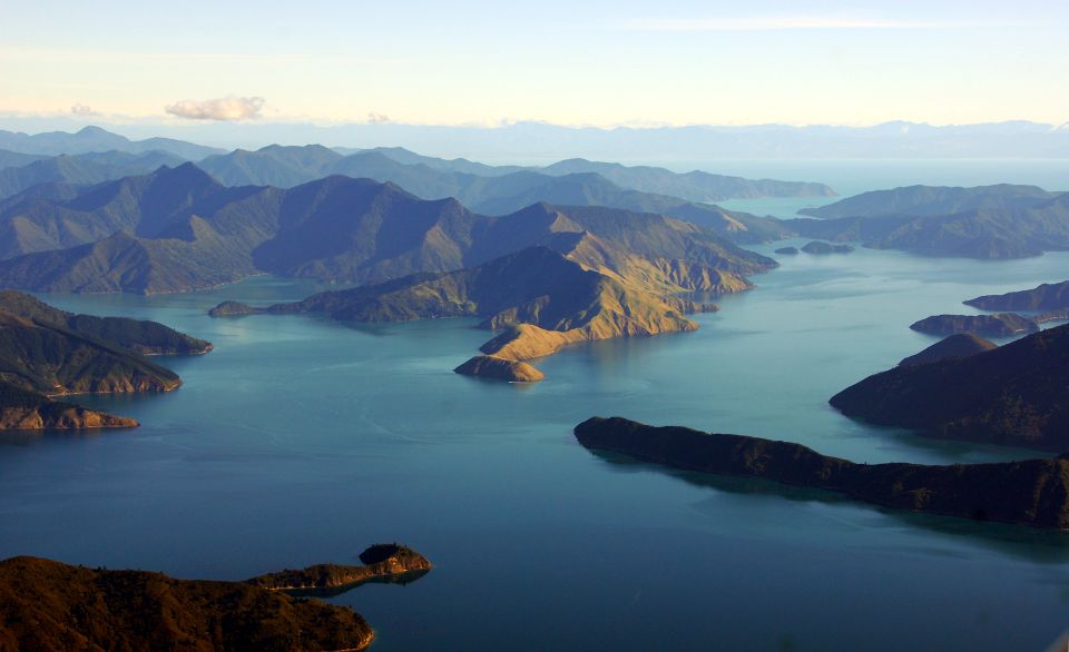 Picton: Queen Charlotte Sounds Sightseeing Cruise - Booking Information
