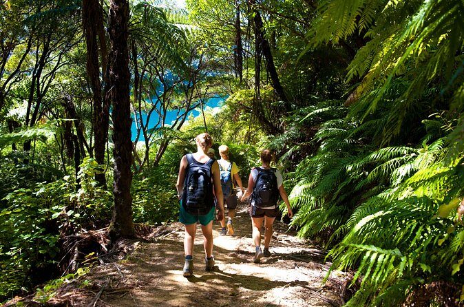 Picton Shore Excursion Kaipupu Sanctuary Water Taxi - Who Is This Tour Best Suited For?