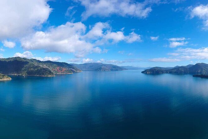 Picton Shore Excursion Queen Charlotte Sound Cruise - Frequently Asked Questions