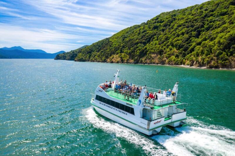 Picton Shore Excursion: Queen Charlotte Sounds Cruise - Key Points