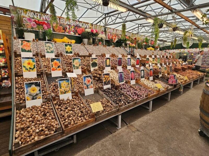 Picture Perfect Amsterdam: A Photo Tour Experience - Good To Know