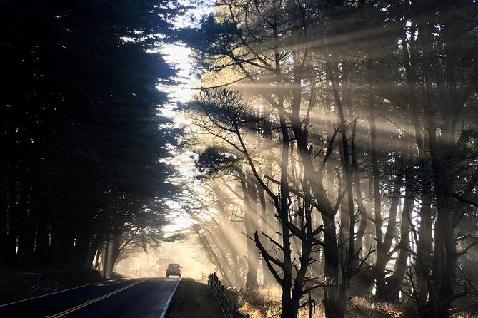Picture Your Best SF Tour Ever! (Epic Bay Area Photo Adventures) - Expert Guidance From Local Photographer Nik Dessle