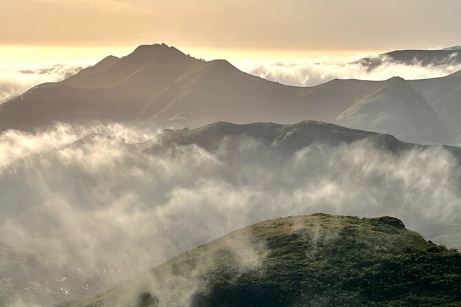Picture Your Best SF Tour Ever! (Epic Bay Area Photo Adventures) - Convenient Transportation and Accessibility Options