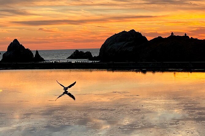 Picture Your Best SF Tour Ever! (Epic Bay Area Photo Adventures) - Book Your Unforgettable Photo Adventure Today