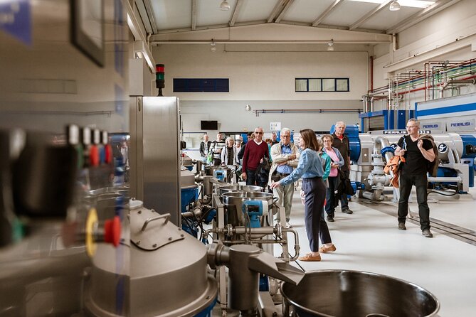 Picualia, Visit the Oil Mill & EVOO Tasting - Visitor Reviews