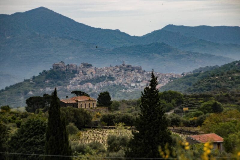 Piedimonte Etneo: Etna Wine Train Tour & Sicily Wine tasting - Who Is This Tour Best For?