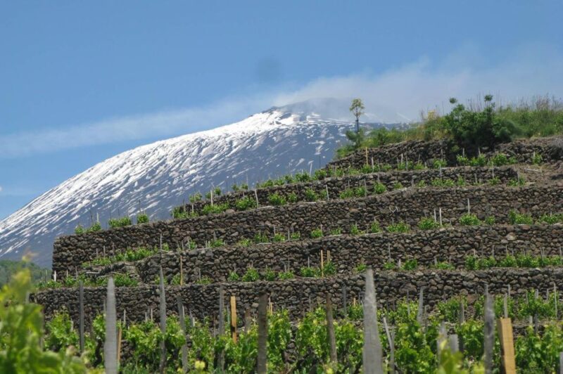 Piedimonte Etneo: Etna Wine Train Tour & Sicily Wine tasting - The Sum Up