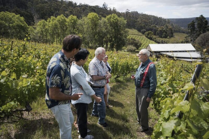 Piedmont Private Wine and Food Tour with Tastings - Key Points