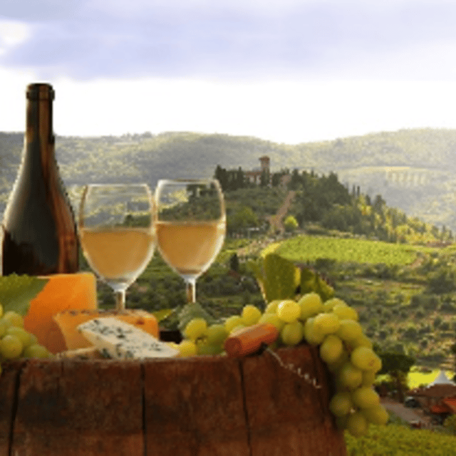 Piedmont Private Wine and Food Tour with Tastings - An In-Depth Look at the Piedmont Private Tour Experience