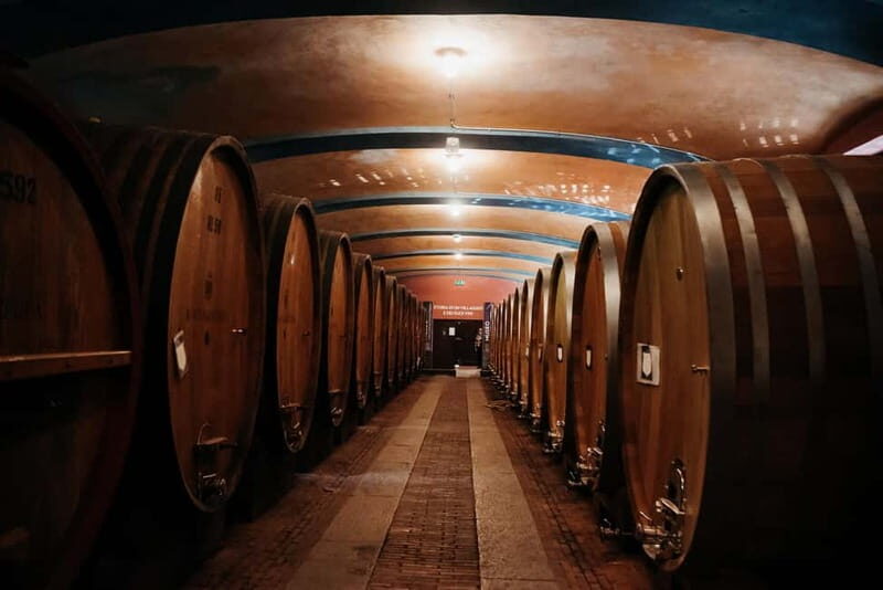 Piedmont Private Wine Tour with Photography. Lunch inclusive - Who Will Love This Tour?