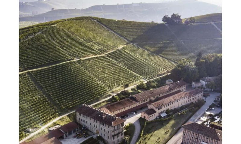 Piedmont Private Wine Tour with Photography. Lunch inclusive - The Sum Up