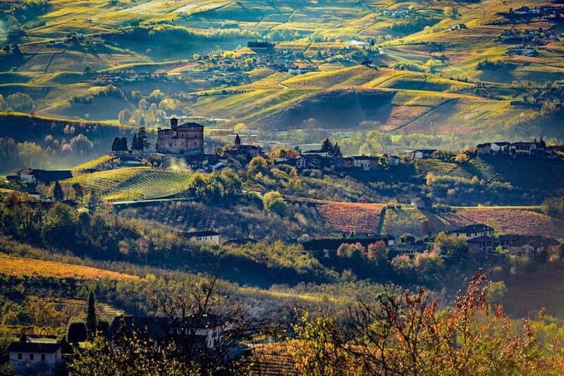Piedmont: Winery Tour, Taste Barolo, Barbaresco & Local Food - The Experience from Travelers’ Perspectives