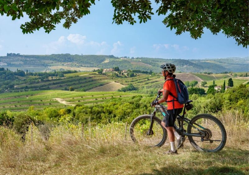 Pienza&Val Dorcia: E-Bike Tour + Pick-Up & Drop-Off by Van - Important Information
