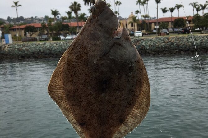 Pier Fishing Tour - San Diego Review - Booking and Confirmation Process