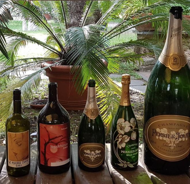 PIETRASANTA: OLIVE OIL, FOOD AND WINE TASTING - Roundtrip Transportation From Pietrasanta Station